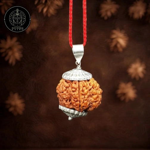 5 Faced Rudraksha - Nepali