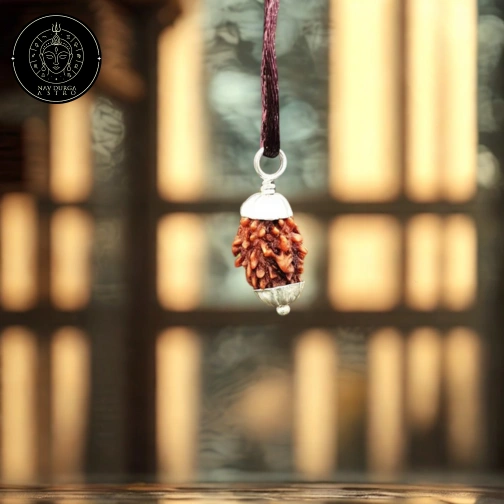 7 Mukhi Rudraksha - Nepali