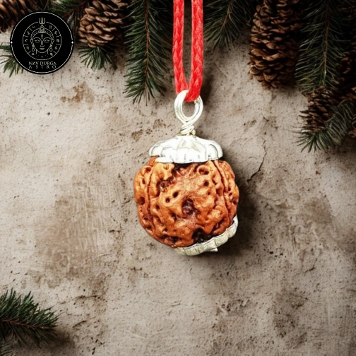 8 Faced Rudraksha - Nepali
