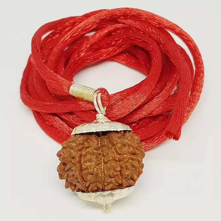 10 Faced Rudraksha - Nepali